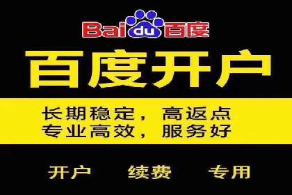 SEM专员案例：数据分析与优化